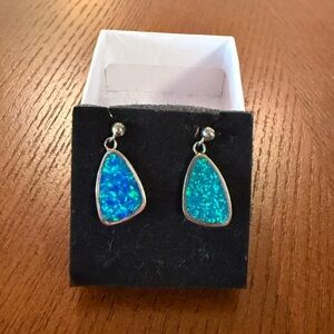 Elegant Blue Drop Earrings